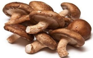 Shiitake Mushroom