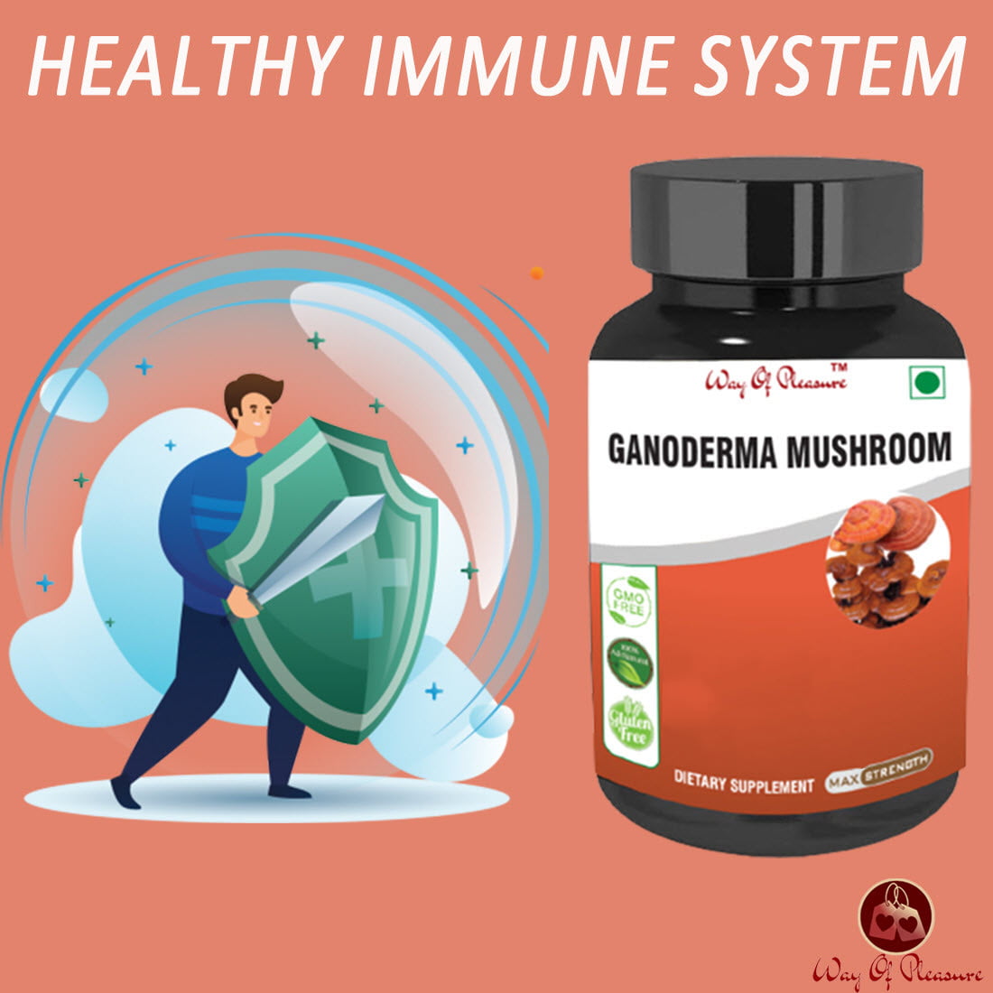 Ganoderma Mushroom Capsule NEW IMG4