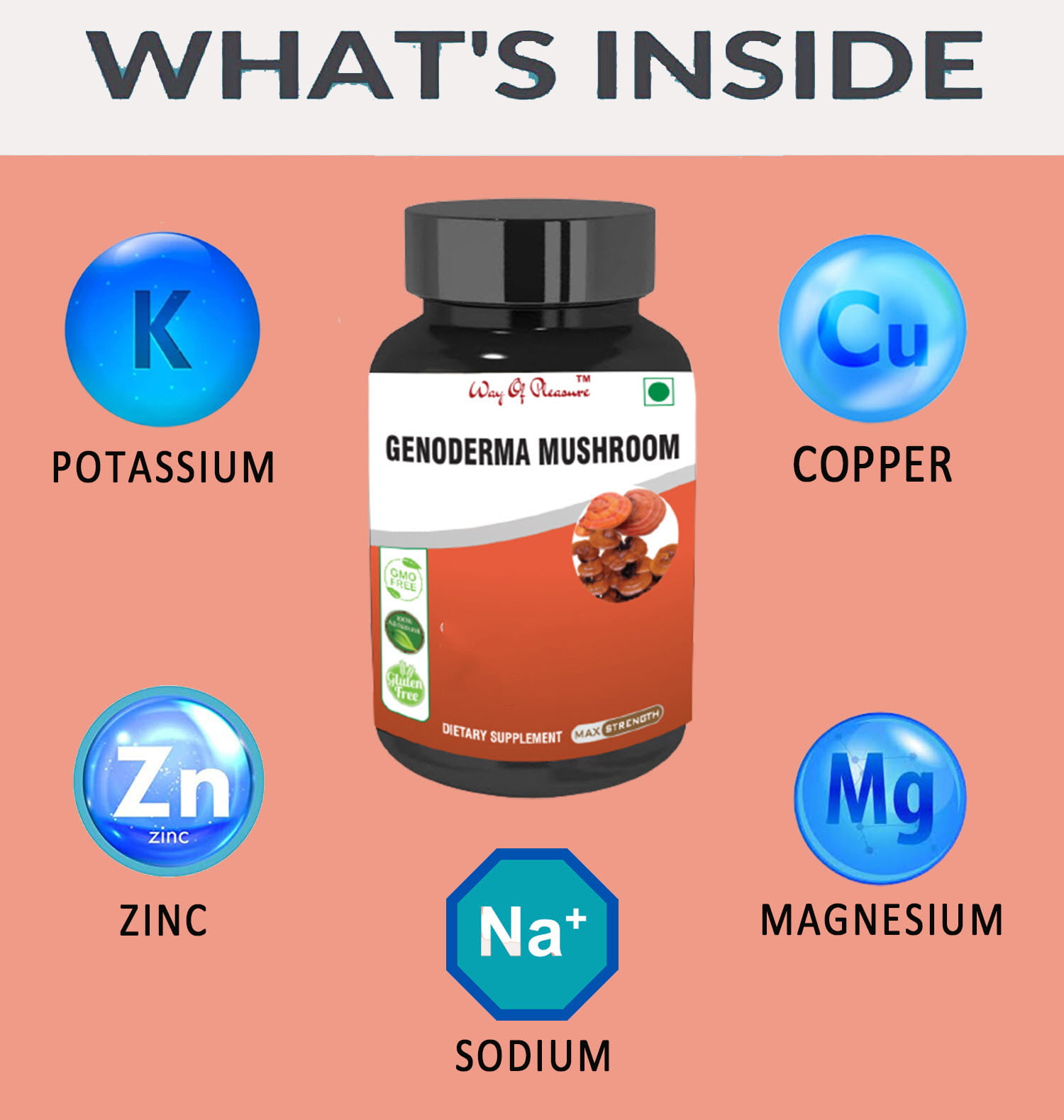 Ganoderma Mushroom Caspule NEW IMG2 brain health
