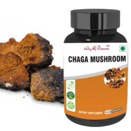 Chaga Mushroom 60 Capsules Immune Boosting Support Detox, antioxidants and  Adaptogen