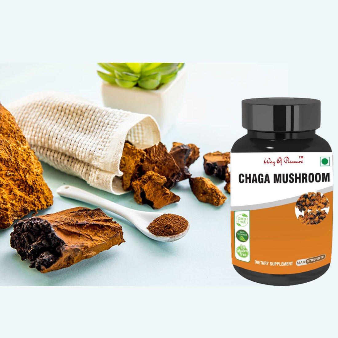 Way Of Pleasure Chaga Mushroom Capsule new 2