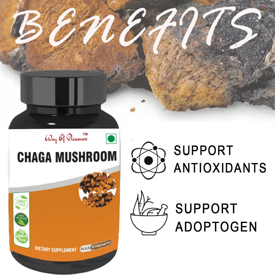 Way Of Pleasure Chaga Mushroom Capsule new 3 chaga msuhroom coffee