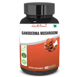 Ganoderma Mushroom Capsules for Well-Being and Vitality