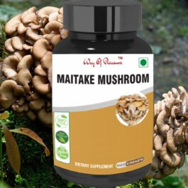 Maitake Mushroom Capsules: A Dietary Supplement