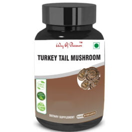 Turkey Tail Mushroom Capsules For Digestive Health, Support Antioxidant, Powerful Adaptogen