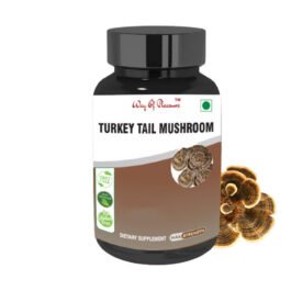 Turkey Tail Mushroom Capsules For Digestive Health, Support Antioxidant, Powerful Adaptogen