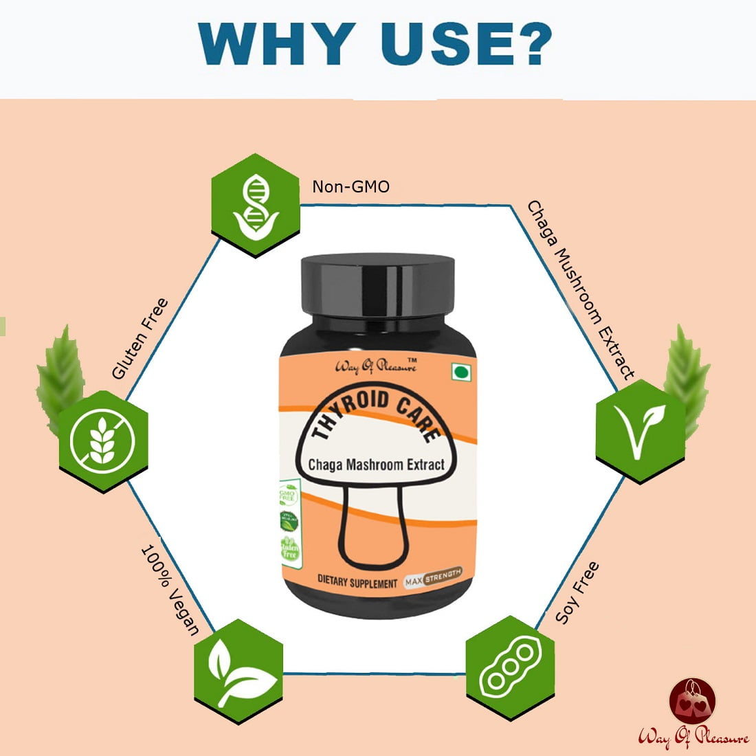 You are currently viewing Harnessing the Power of Nature: Chaga Mushroom Extract for Thyroid Care