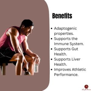 Read more about the article Turkey Tail Mushroom Caffeine-Free Coffee: 5 Ways It Promotes Your Gut Health and Well-Being