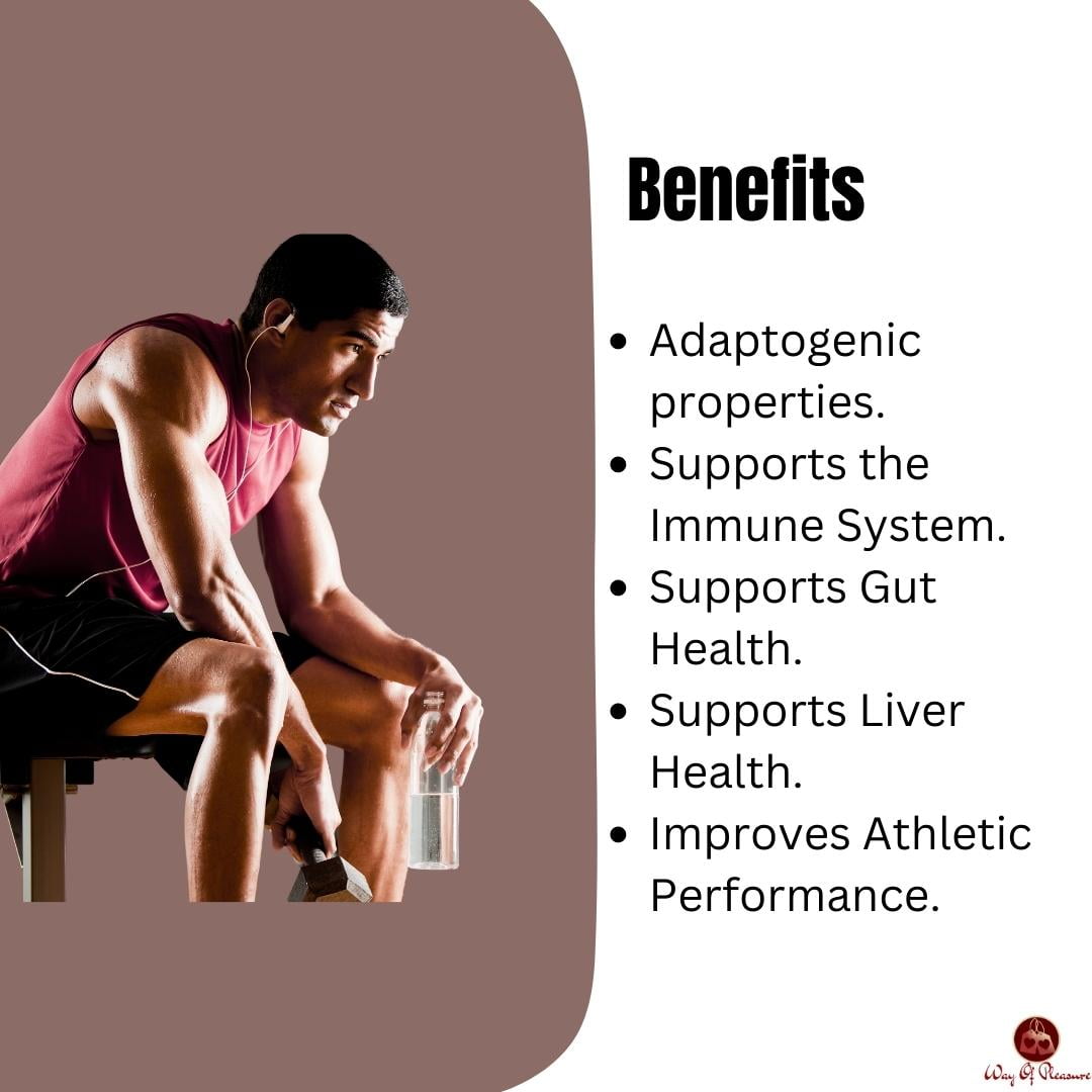 Read more about the article Turkey Tail Mushroom Caffeine-Free Coffee: 5 Ways It Promotes Your Gut Health and Well-Being