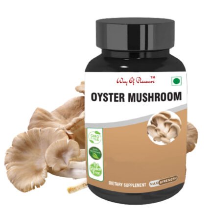 oyster mushroom