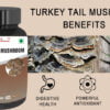 Way Of Pleasure Turkey Tail Mushroom new 1 mushroom capsules benefits