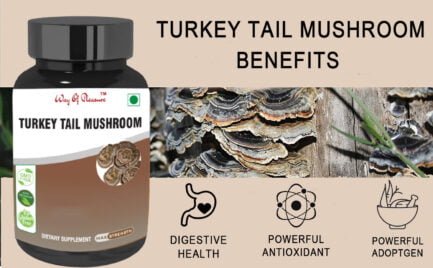 mushroom capsules benefits