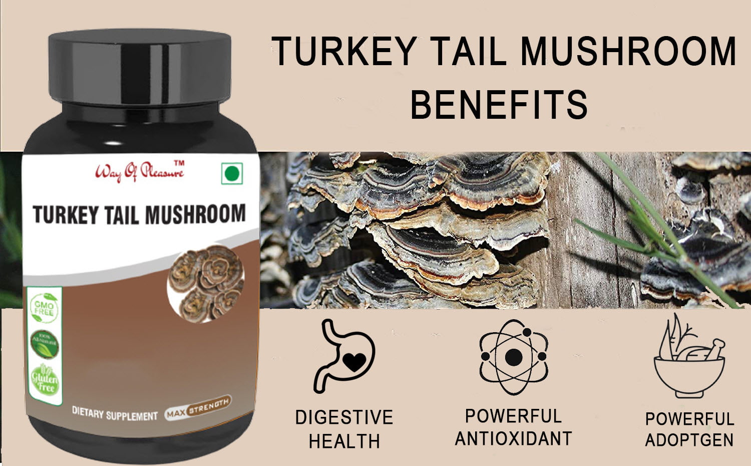 Way Of Pleasure Turkey Tail Mushroom new 1 mushroom capsules benefits