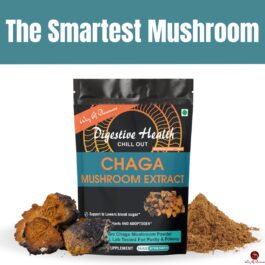 Chaga Mushroom Extract Powder For Digestive Health Support, Immune System, Cholesterol Health