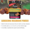 Ganoderma Mushroom Extract Powder IMG5