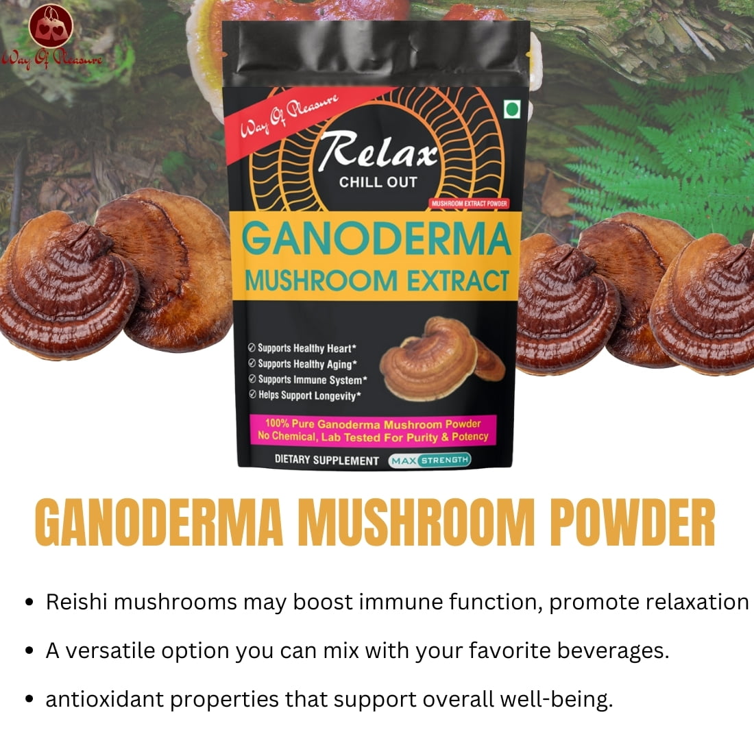 Ganoderma Mushroom Extract Powder IMG5