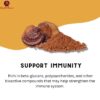 Ganoderma Mushroom Extract Powder IMG6