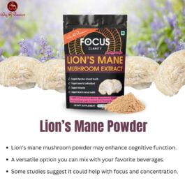 Lions Mane Mushroom Extract Powder For Focus, Helps To Improve Immunity, Antioxidant, Improve Sleep Quality, Mushroom Supplement