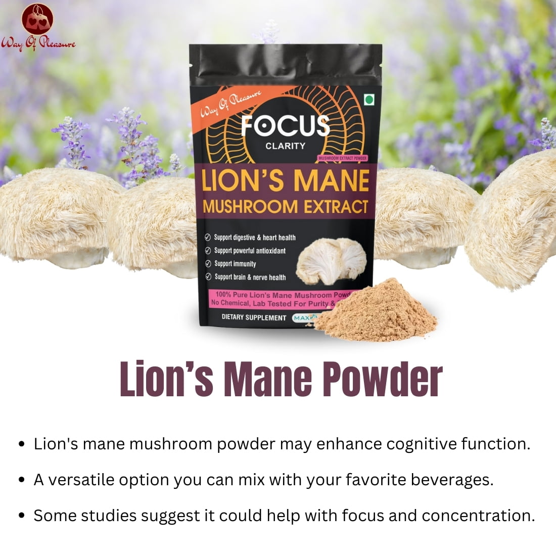 Lion's Mane Mushroom Extract Powder IMG1