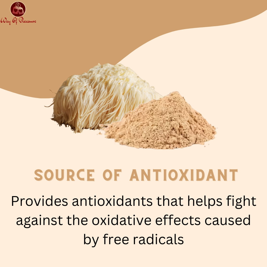 Lion's Mane Mushroom Extract Powder IMG2