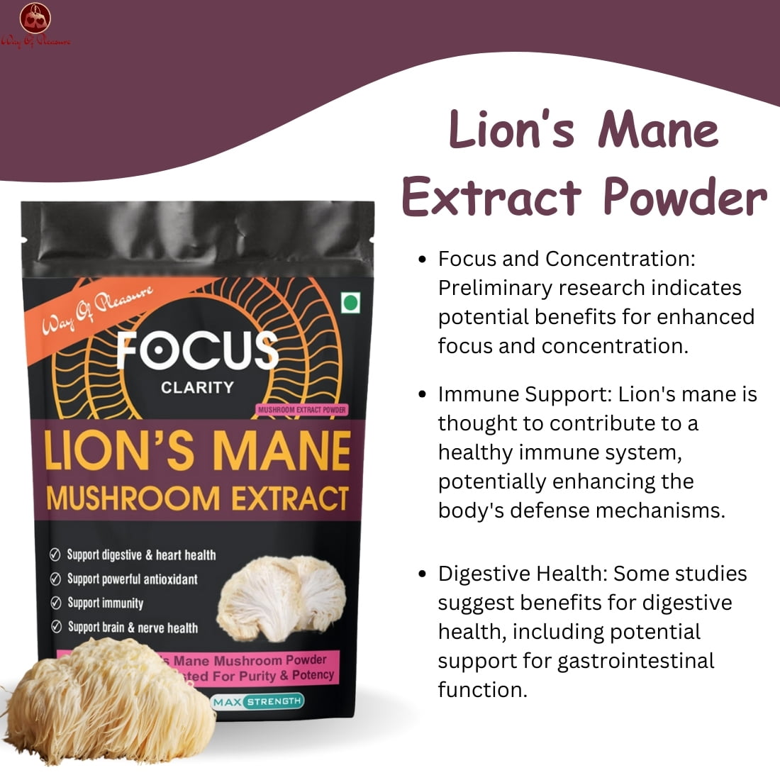 Lion's Mane Mushroom Extract Powder IMG7