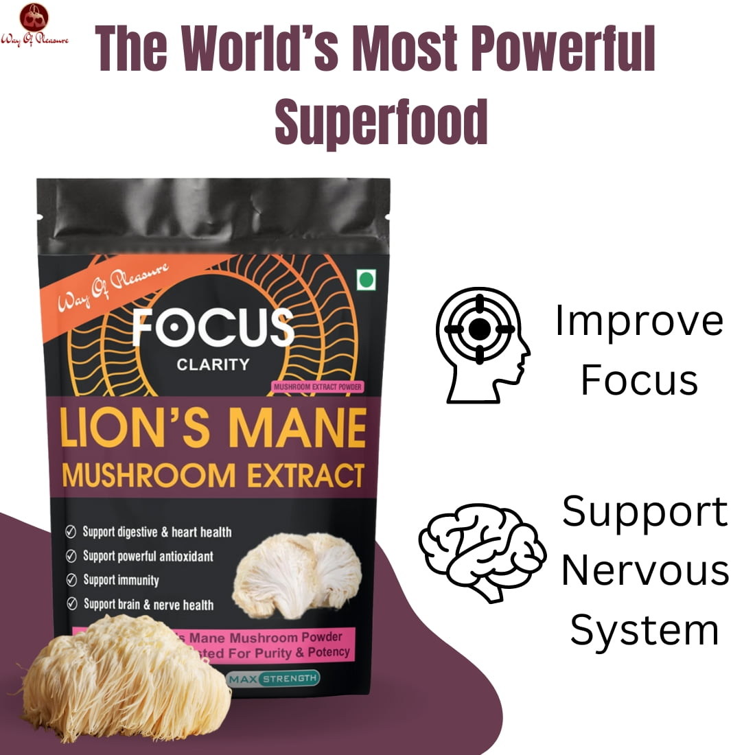 Lion's Mane Mushroom Extract Powder IMG8