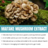 Maitake Mushroom Extract Powder IMG7