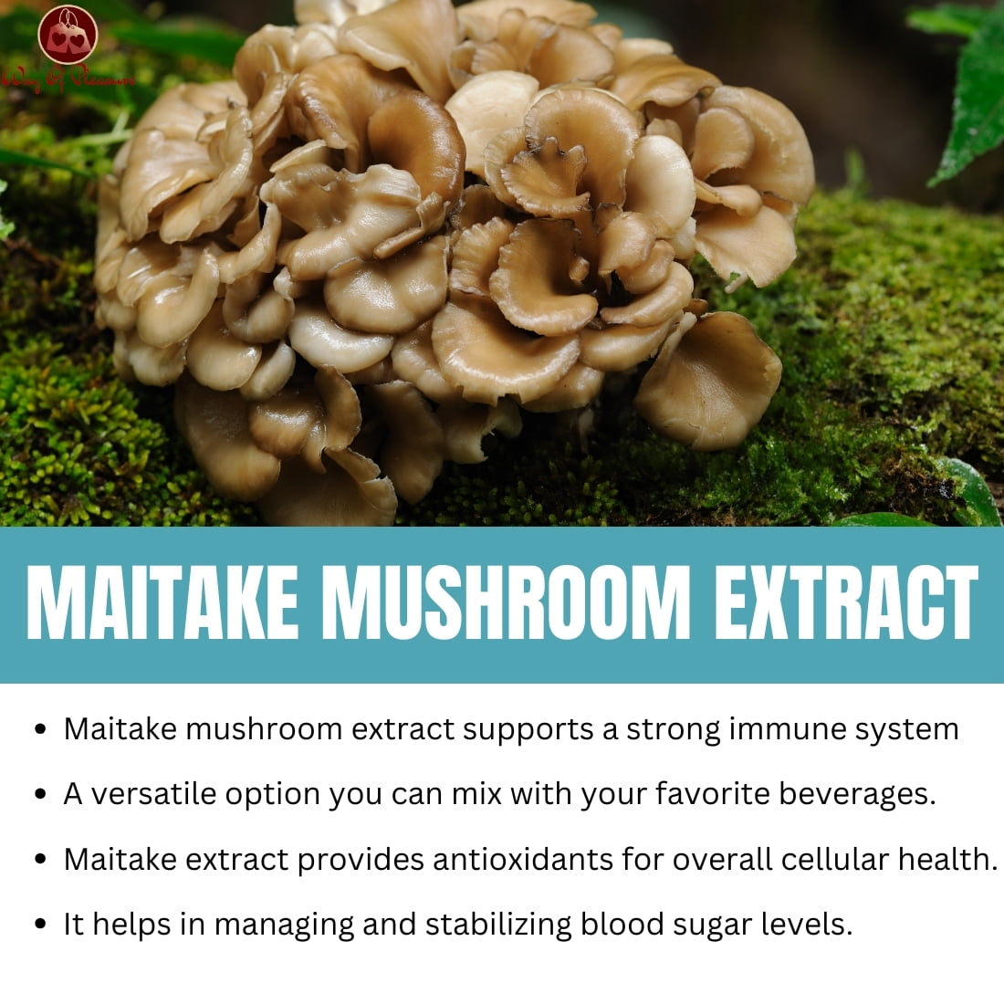 Maitake Mushroom Extract Powder IMG7