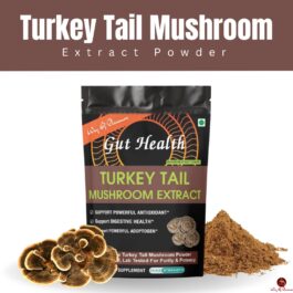 Turkey Tail  Mushroom Extract Powder supports gut Health, Immune Support, and Antioxidant