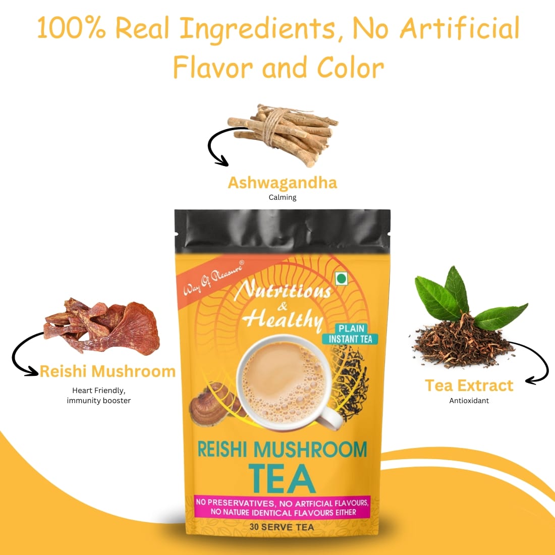 Reishi Plain Tea IMG